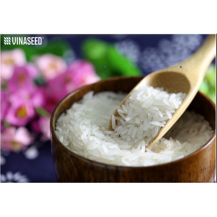 Gạo nhật VJ Pear Rice 1 Kg - Sản Xuất Theo Công Nghệ Hiện Đại Của Nhật Bản