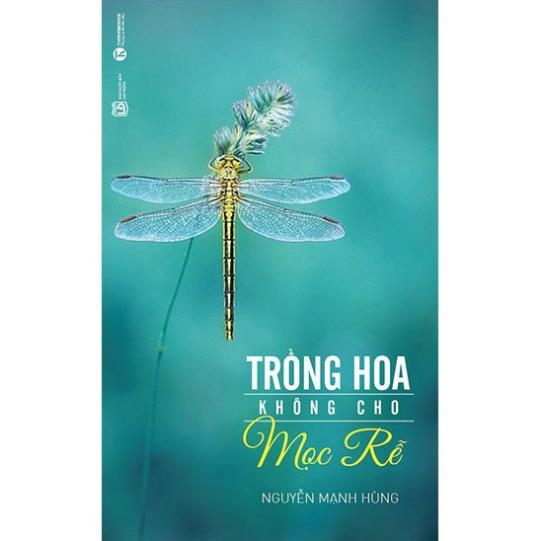 Sách - Trồng hoa không cho mọc rễ - Thái Hà Books