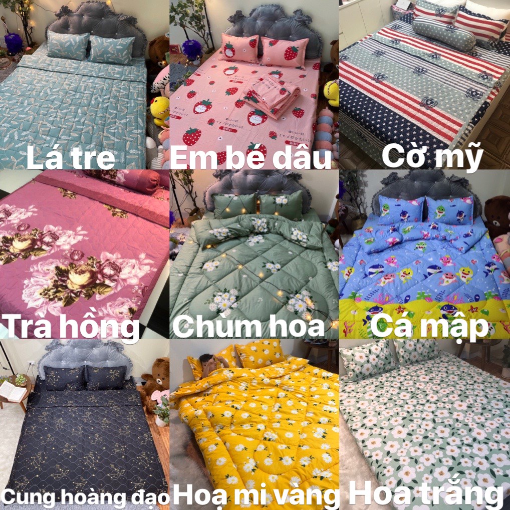 BỘ GA CHUN kèm 2 vỏ gối nằm ( ga gối Poly) nhận mọi size đặt nhỡ cỡ theo yêu cầu / đệm dày theo y/cầu 15/20/25/30/40cm