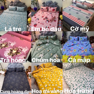 Set Chăn ga gối  cotton POLY