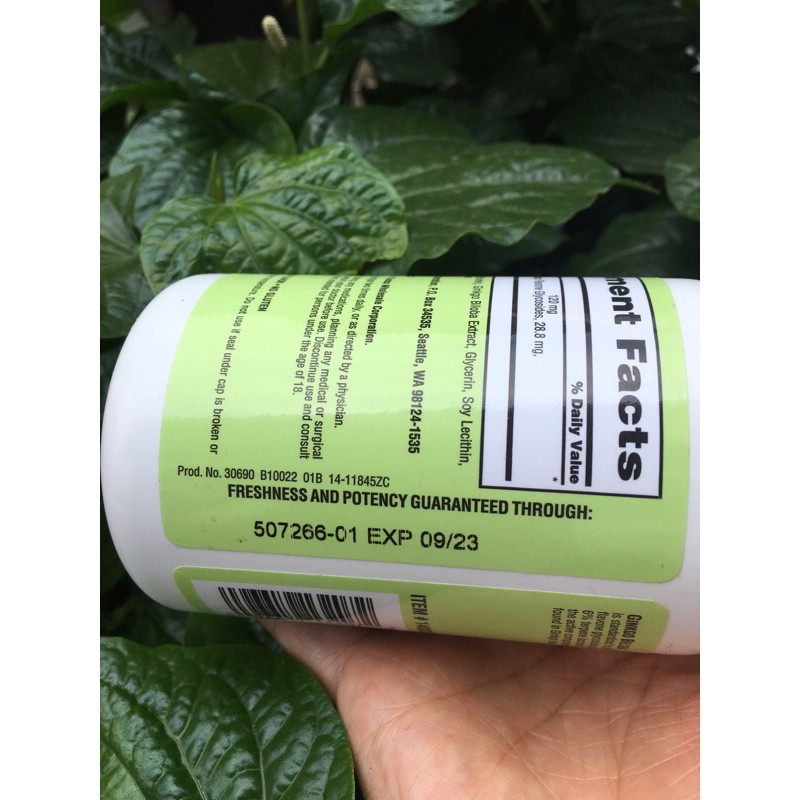 Bổ não GINKO BILOBA NHẬP MỸ 340V | BigBuy360 - bigbuy360.vn