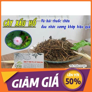 Cây xấu hổ (Trinh nữ)_1Kg - Thảo Dược Uy Tín