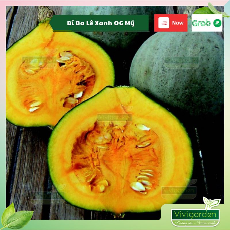 Combo 10 hạt (lẻ) bí Ba Lê Xanh OG (Blue Ballet OG) giống nhập Johnny Seeds thơm ngon và đẹp mắt