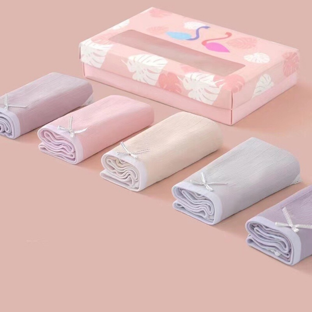 Quần Lót Nữ Cotton Kháng Khuẩn Viền Ren Đáng Yêu QL 06 RENEE Store