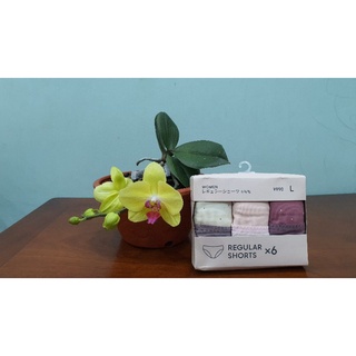 Set 7 Quần chip Gu hàng nội địa Nhật
