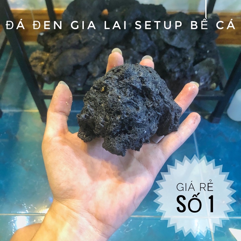 1kg Đá Đen Gia Lai dùng setup bể cá thủy sinh