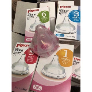 Núm ti pigeon nội địa nhật cổ rộng