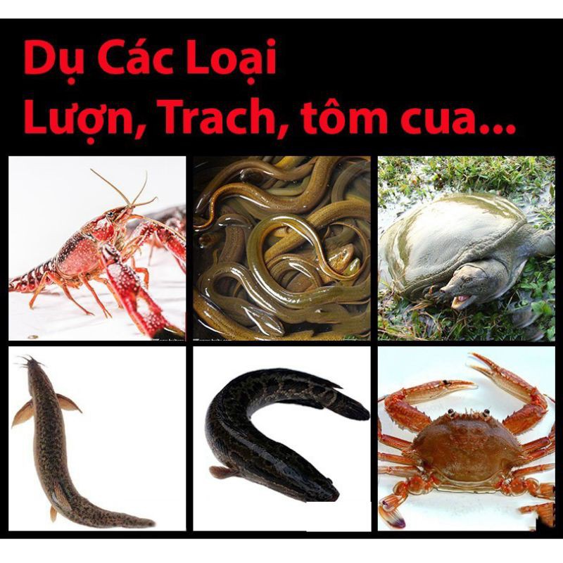 Mồi dụ bẫy lươn, tôm,cua, cá thả lưới bát quái