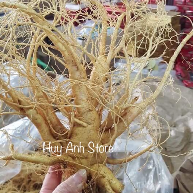 Huy Anh Store, Cửa hàng trực tuyến | BigBuy360 - bigbuy360.vn