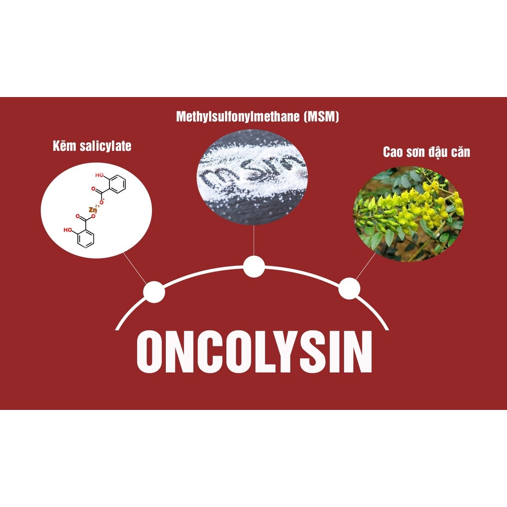 ONCOLYSIN – HỖ TRỢ THANH NHIỆT GIẢI ĐỘC CHỐNG OXY HÓA – NÂNG CAO SỨC ĐỀ KHÁNG – HỖ TRỢ GIẢM U BƯỚU