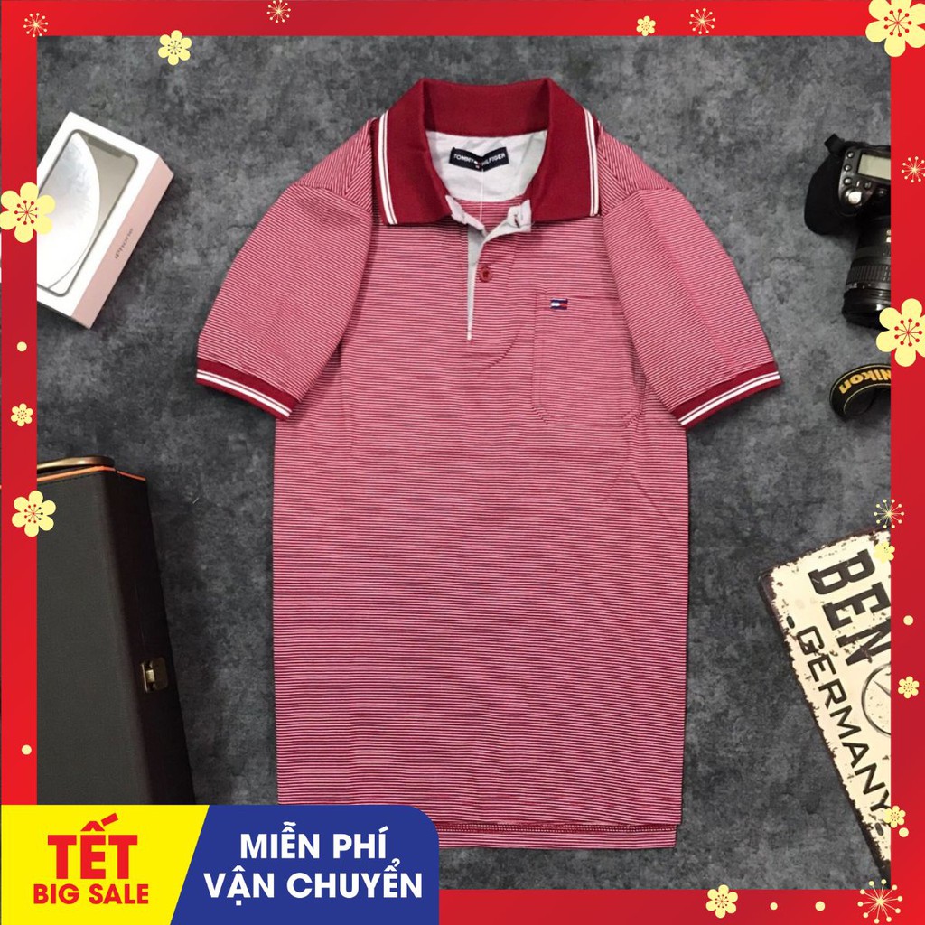 Áo phông nam trung niên có túi vải cá sấu Cotton xuất xịn,chuẩn form, sang trọng - thanh lịch-ÁO POLO NAM TRUNG NIÊN | BigBuy360 - bigbuy360.vn