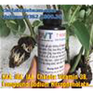 T-ROOT 100% (V02) - Dung dịch siêu kích thích ra rễ (chai 50ml)