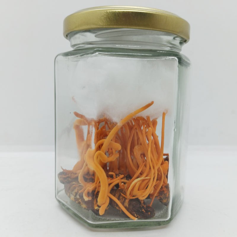 Đông Trùng Hạ Thảo Nguyên Con sấy thăng hoa JD235_nhong | BigBuy360 - bigbuy360.vn