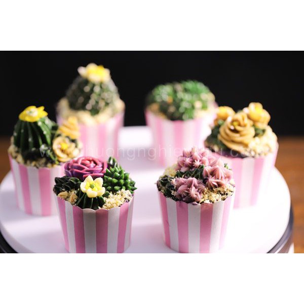 COMBO 10 Cup giấy cứng (màu tùy đợt)
