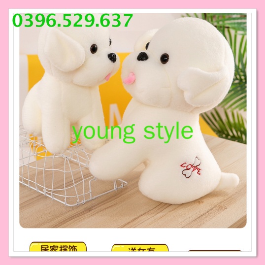 Gấu bông teddy bear Chó bông tuyết, thú nhồi bông chó bông tuyết cực dễ thương