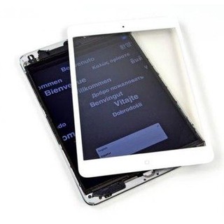 Kính Cảm Ứng iPad