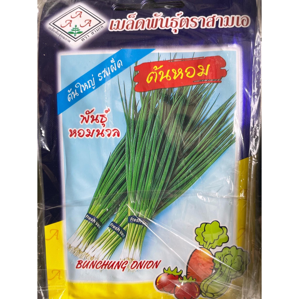 Hạt giống hành lá ống cọng to Bunching Onion nhập nguyên gói Thái lan chuyên làm kimchi rất giòn, ngọt