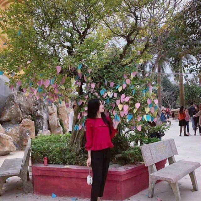 Áo von bèo tiểu thư
