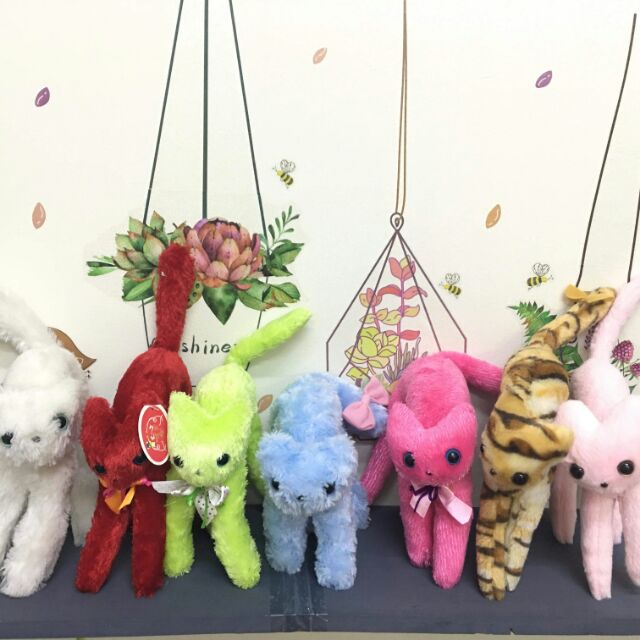 Set gấu bông mèo các loại