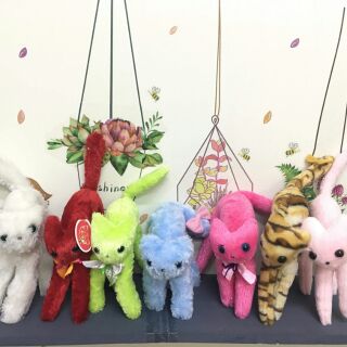 Set gấu bông mèo các loại