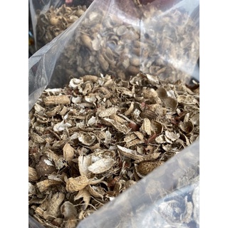 Vỏ đậu phộng trồng cây- vỏ lạc
