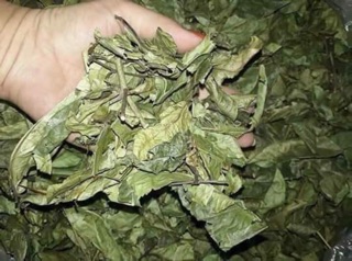 Cây xạ đen 1 kg