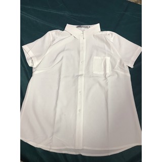 ÁO SƠ MI CỘC TAY Cotton Lụa