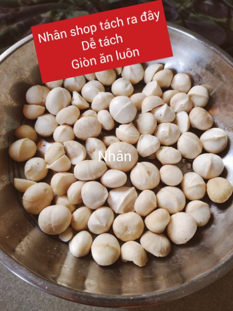 (tặng kìm) 500G NHÂN/ QUẢ MACCA LÂM ĐỒNG SẤY GIÒN ĂN LIỀN