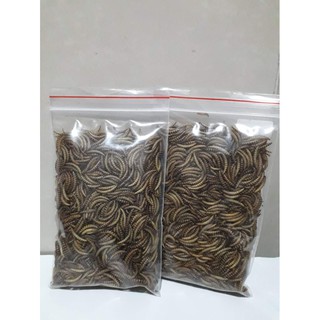 Sâu rang cho hamster