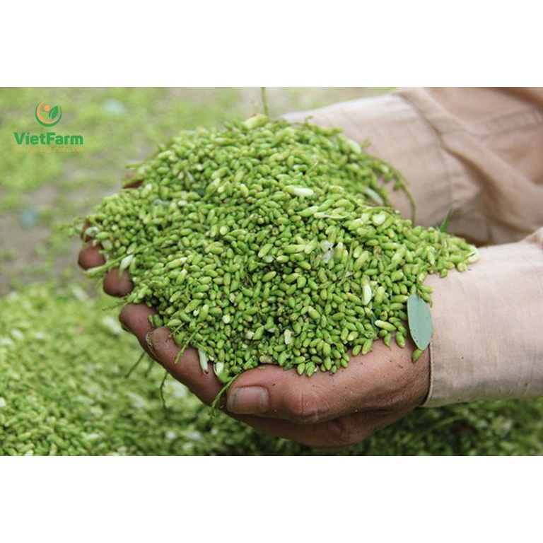 100gr NỤ HOA HÒE KHÔ - chất lượng chuẩn hàng loại 1