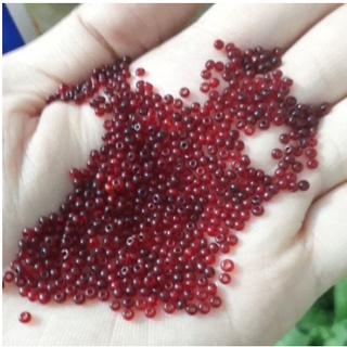 10-25-50gam cườm tấm, cườm nhí đỏ đậm 2mm