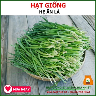 Hạt Giống Hẹ Ăn Lá Chịu Nhiệt Rạng Đông 1gram
