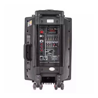 Loa kéo Temeisheng DP-297L (Đen)