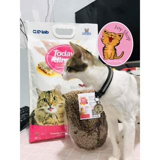[TÚI CHIẾT] HẠT DINNERS TODAY CHO MÈO CƯNG