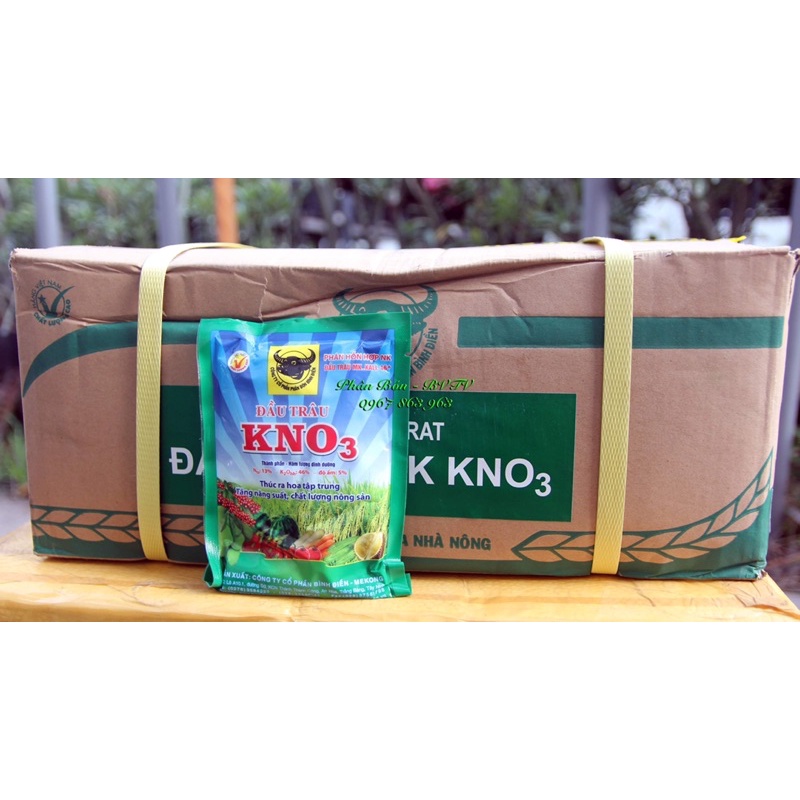 Phân bón lá cao cấp Đầu Trâu kali KNO3 , Kích thích ra hoa nhiều hoa tập trung.
