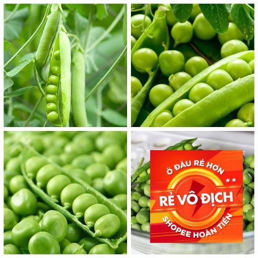 Gói 10 gr hạt giống đậu Hà Lan năng suất cao TRỢ GIÁ
