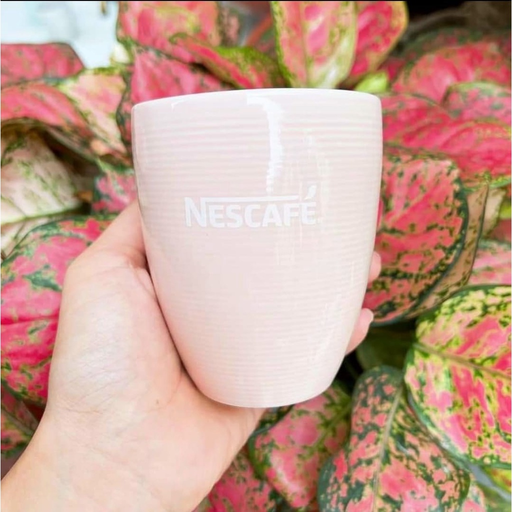 Ly sứ Dongwa  màu ngẫu nhiên