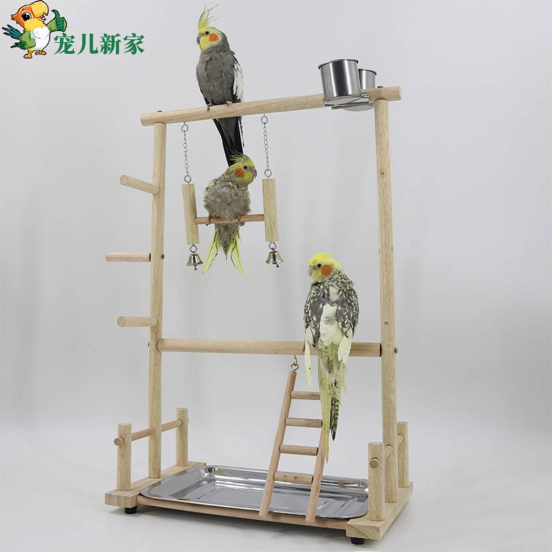 Giá Đứng Bằng Gỗ Cỡ Lớn Dùng Huấn Luyện Chim Vẹt