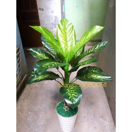 Cây Ngân Hà giả 1 thân 1,2m