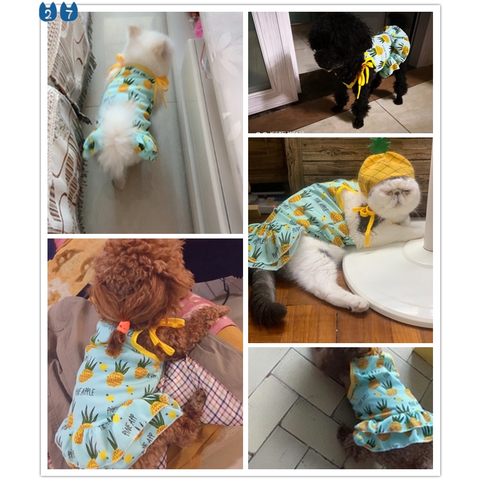 Đầm thun cotton in họa tiết trái cây dễ thương thời trang cho thú cưng