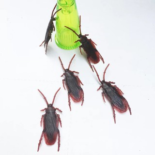 Đồ Chơi Hình Con Gián Độc Đáo