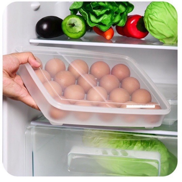 Hộp đựng trứng 24 quả có nắp đậy nhựa Việt Nhật, hộp bảo quản trứng không bị vỡ chắc chắn