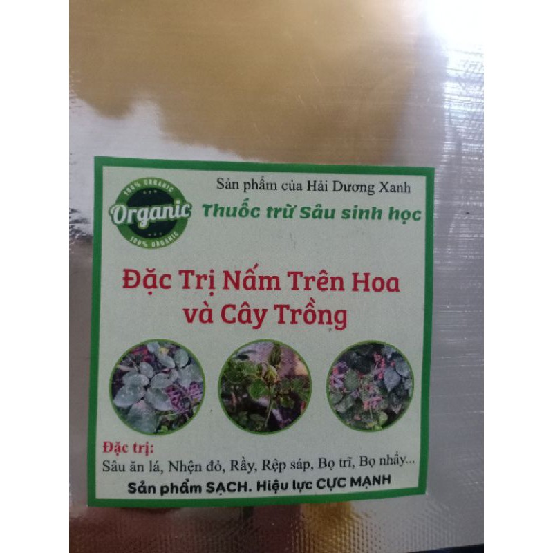 Nấm Bọ trĩ, nhện đỏ, rệp trên hoa hồng