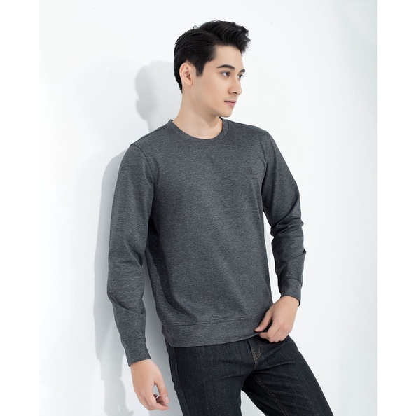 Áo thun nam thu đông giữ nhiệt ARISTINO ISW008W1