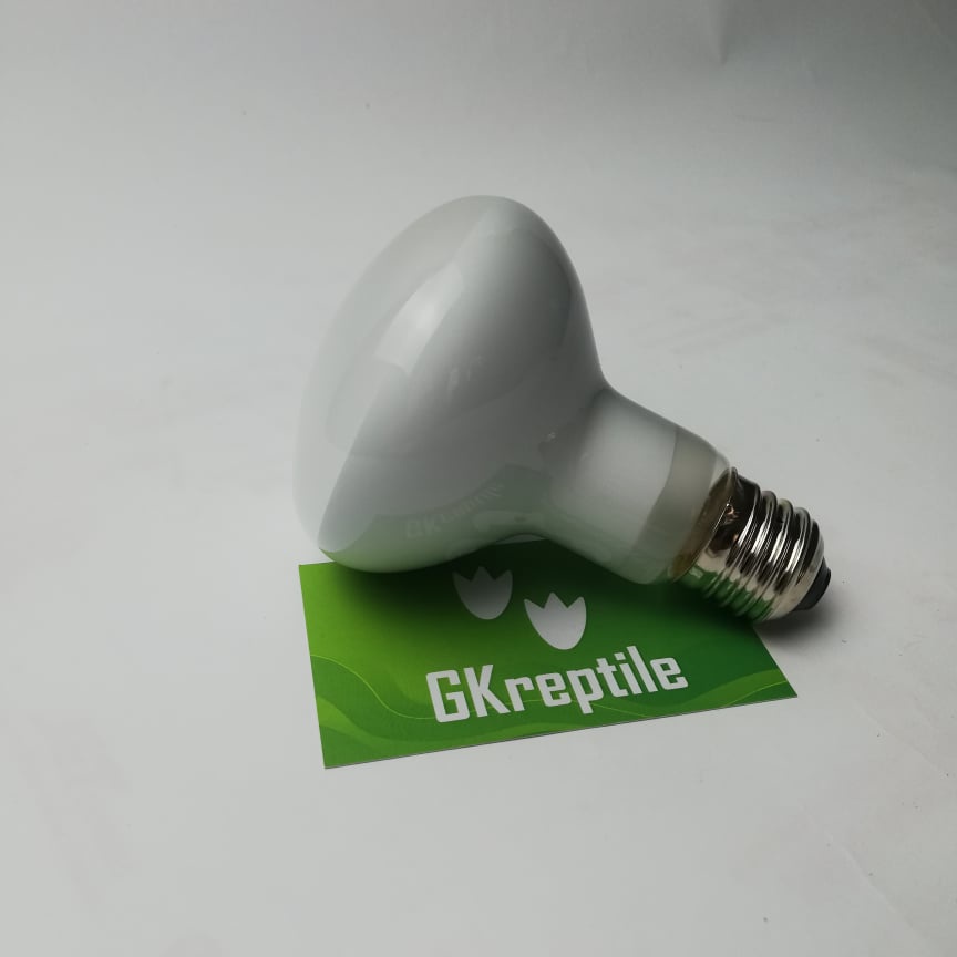 Đèn sưởi cho bò sát , đèn uva