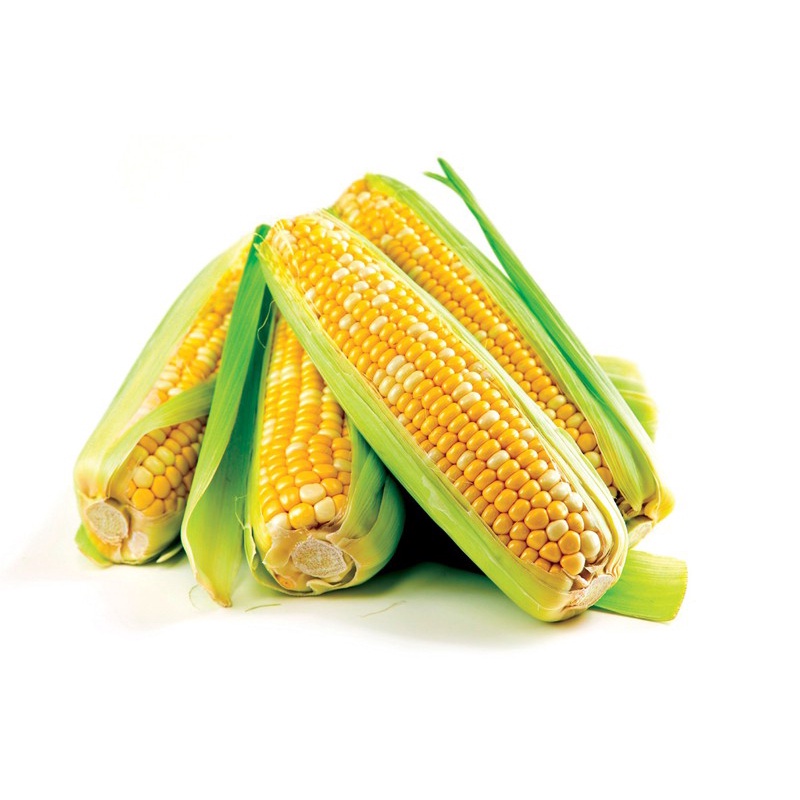Phân bón Grow more NPK 30-10-10+TE 100gram Growmore