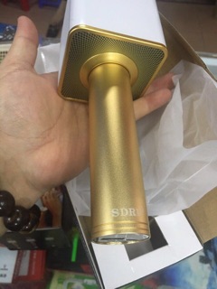 Mic SD 08 ( hàng thật ảnh thật )