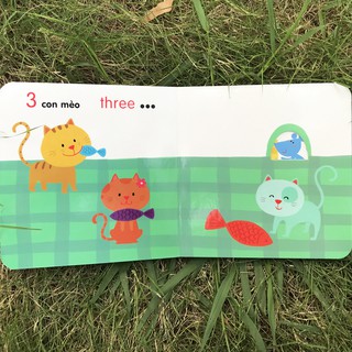Ô Cửa Diệu Kì - Số Đếm