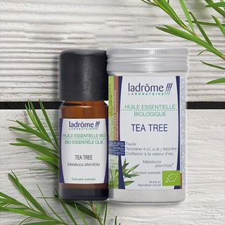 Tinh Dầu Organic Tràm Trà - Tea Tree