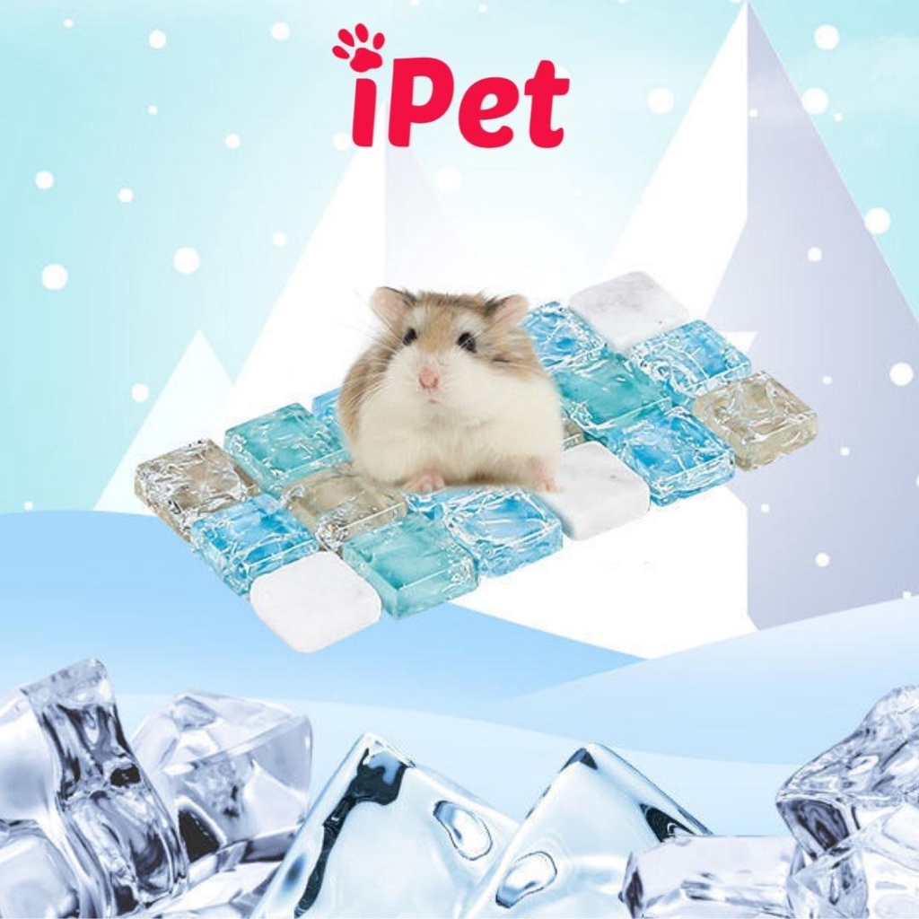 Đá Tản Nhiệt, Thảm Thủy Tinh Làm Mát Mùa Hè Phụ Kiện Cho Hamster - iPet Shop